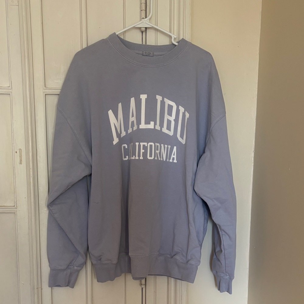 Brandy Melville Light Blue Malibu Crewneck Sweater